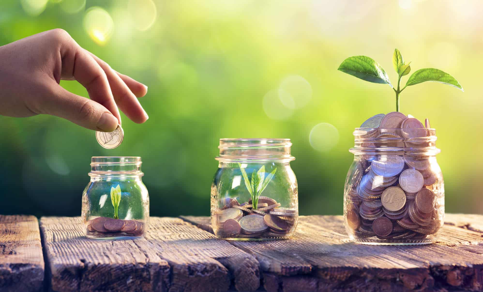 Top 5 fondos de inversión sostenibles con mejor rendimiento 2025